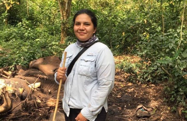 Somos seres narrativos